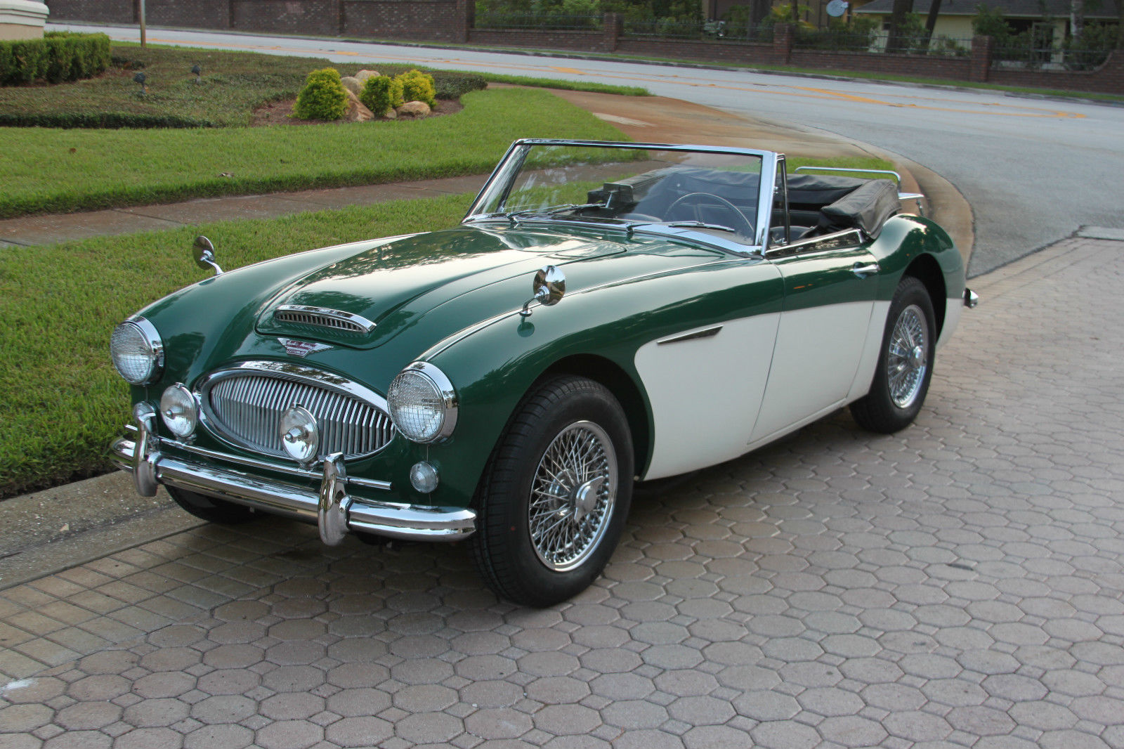 Austin Healey 3000 Racing