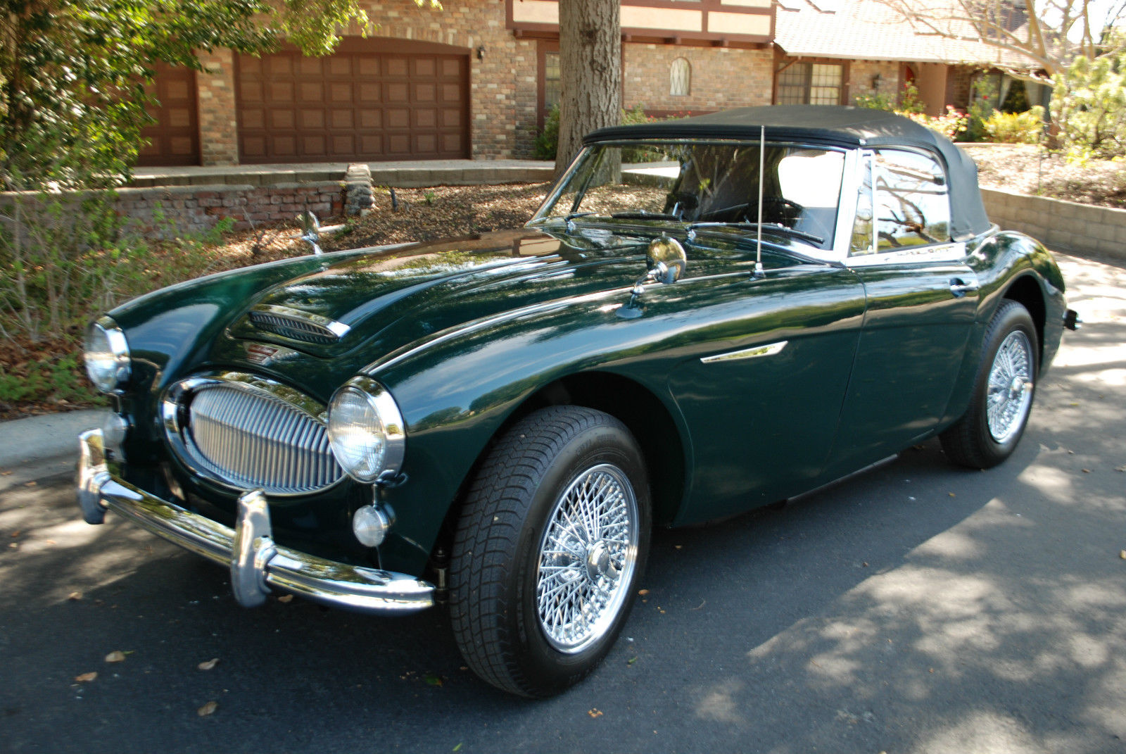 Austin Healey 3000 Racing