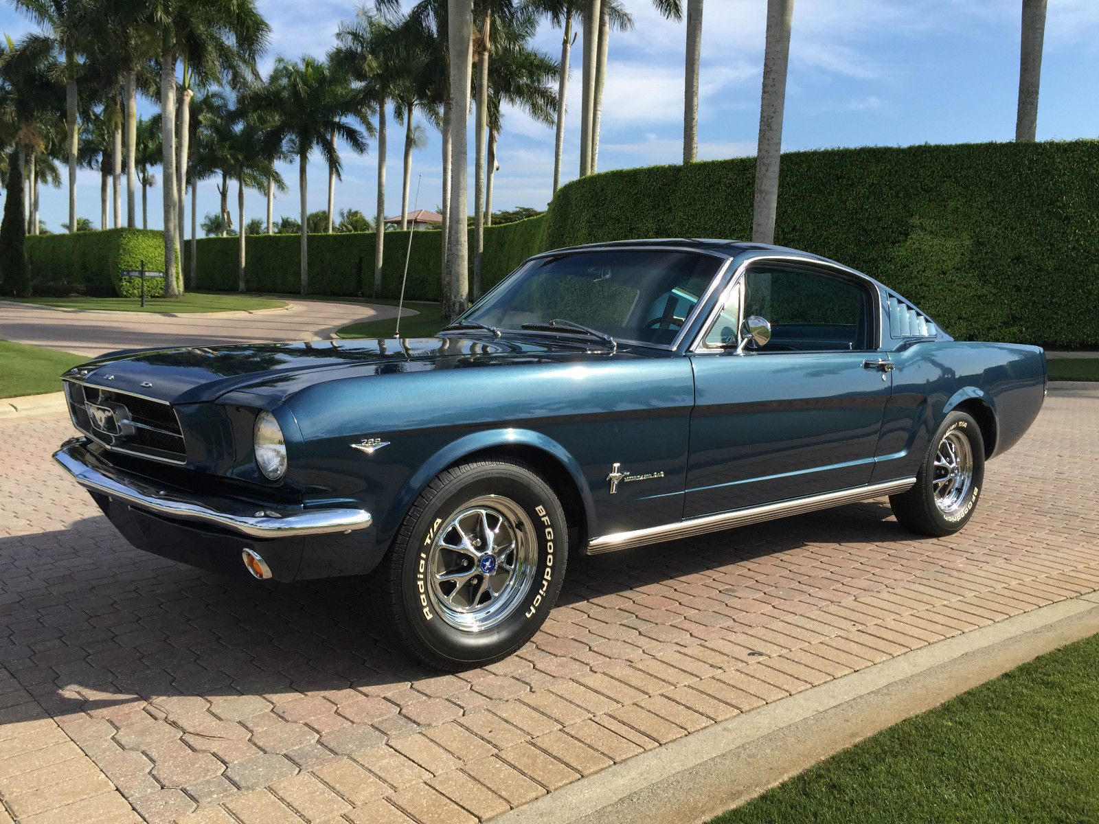 Ford Mustang Shelby Fastback 1965