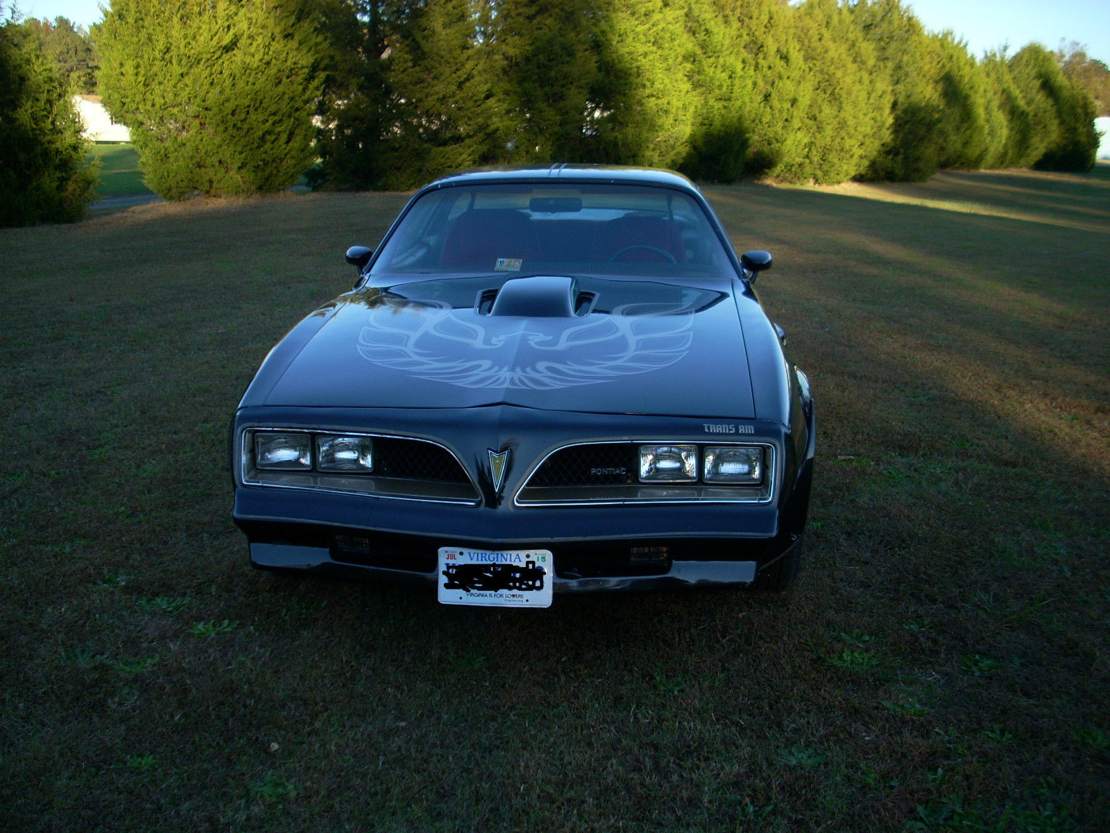 Pontiac Firebird Trans am 1975