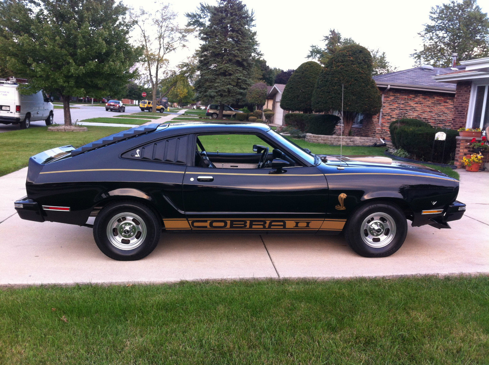 1976 Ford Mustang II Base Hardtop 3 Door 5 0L COBRA Black With Gold Stripes