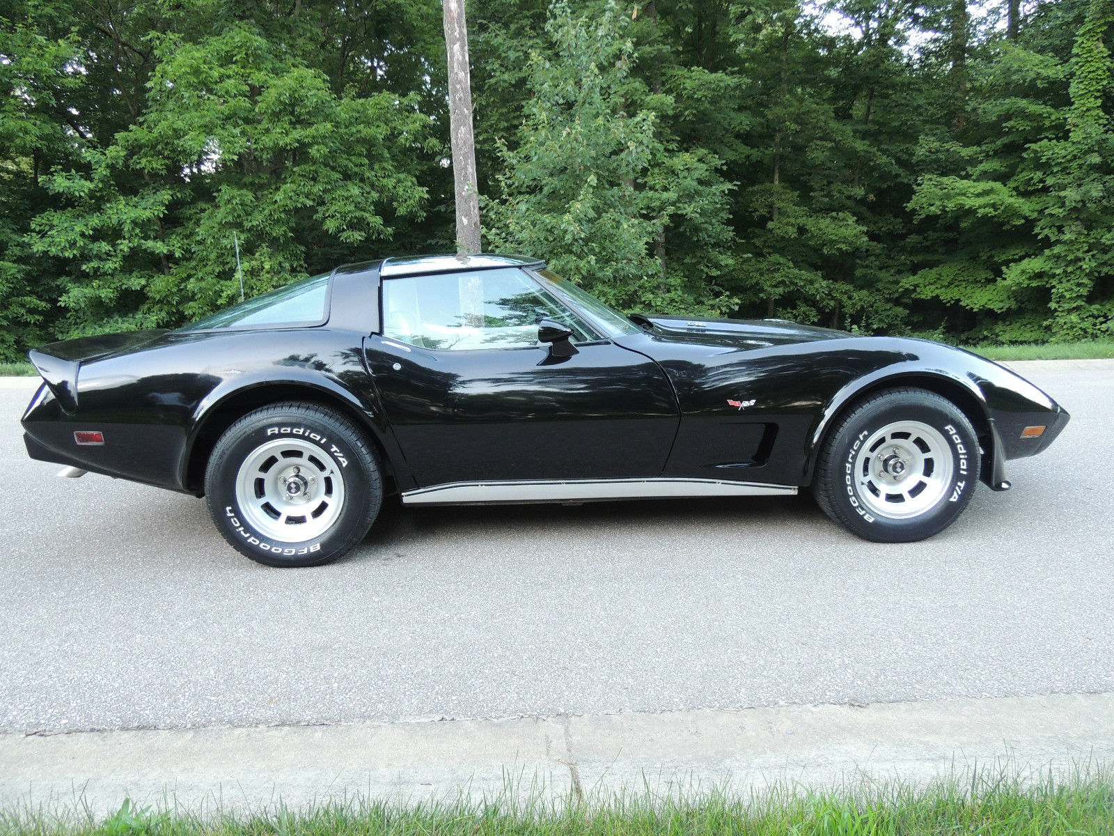 1979 L 82 Corvette Beautiful Black Glass Tops D80 Rare