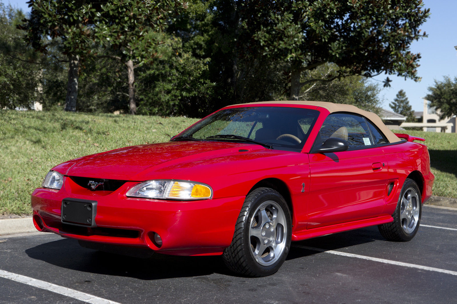 1994 Ford Mustang Svt Cobra Convertible 1376 Miles 7558