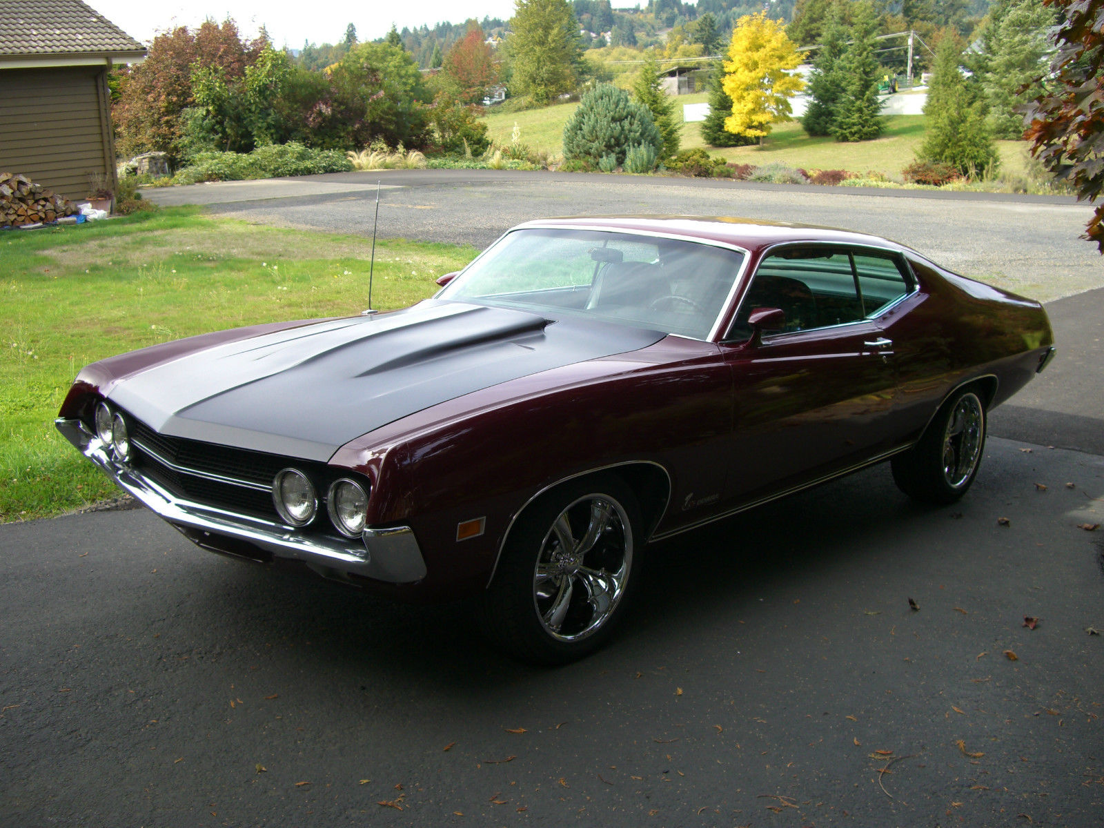 Ford Torino King Cobra