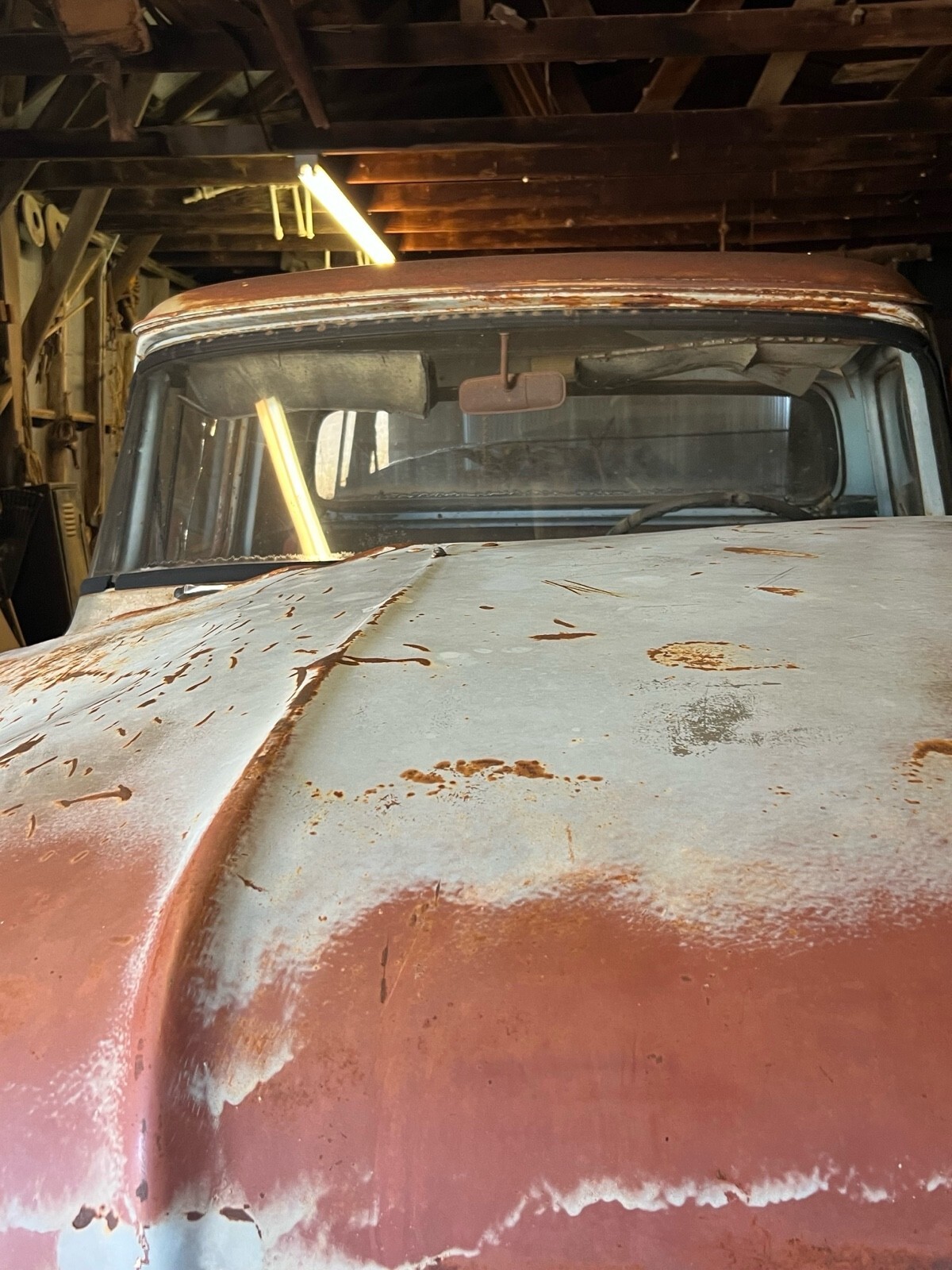 Blue 1956 Ford F250