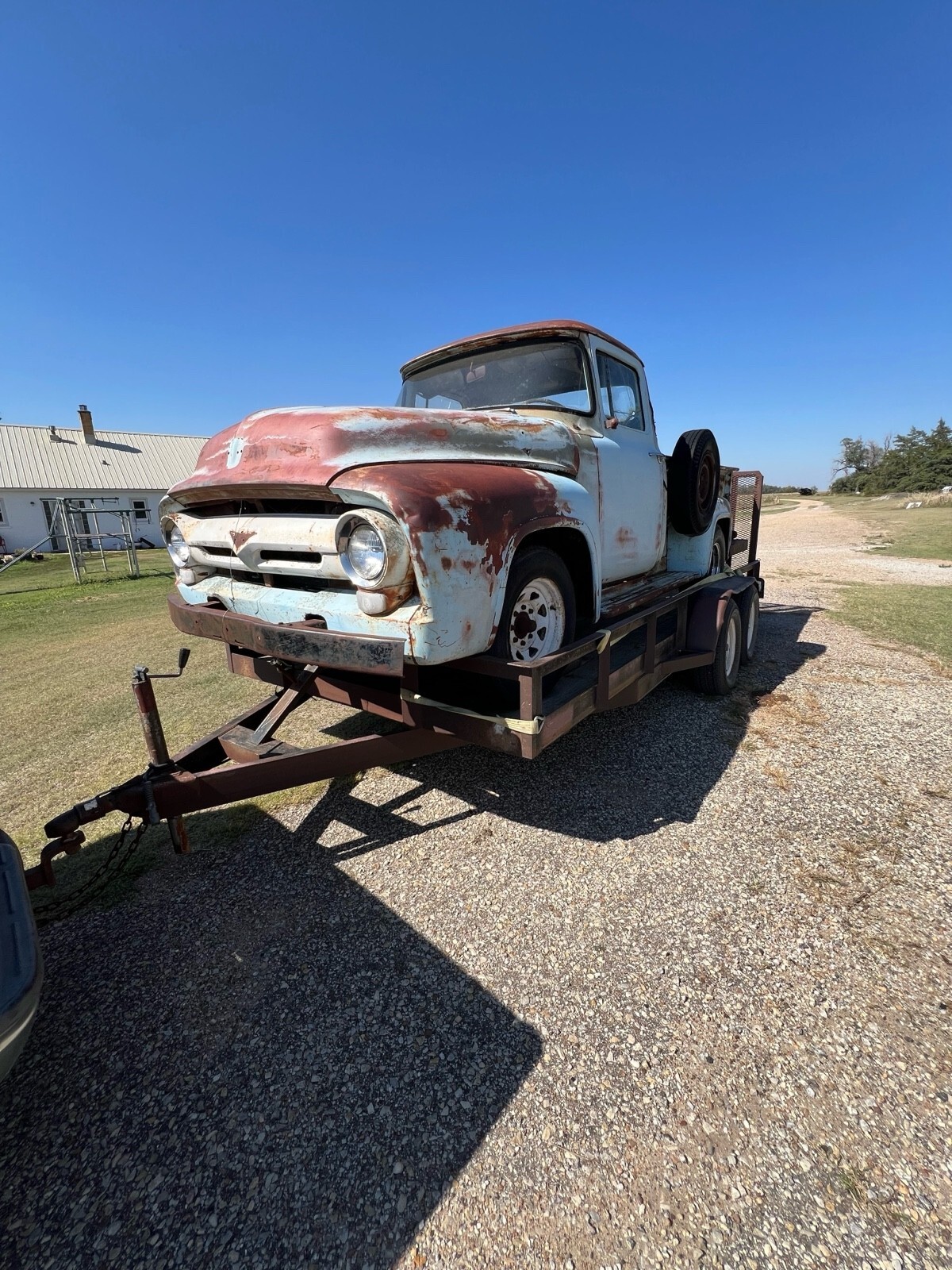 Blue 1956 Ford F250