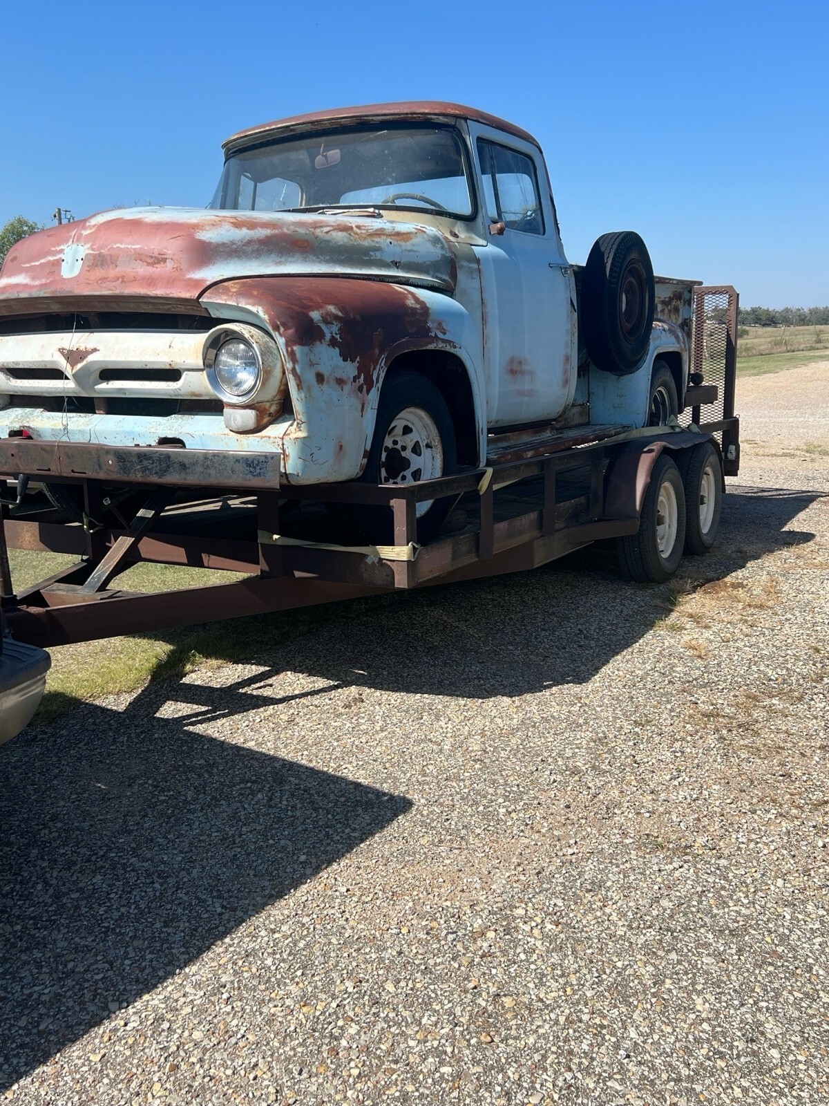 Blue 1956 Ford F250