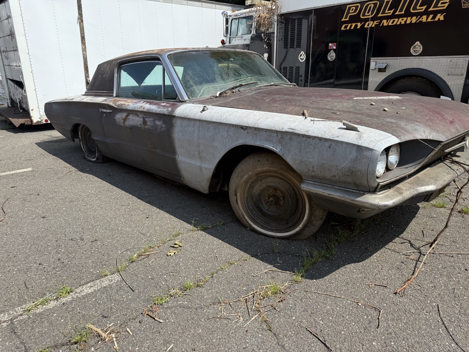 Grey 1963 Ford Thunderbird