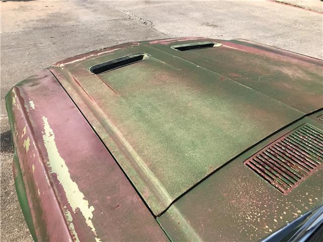 Gold 1967 Ford Mustang Fastback with Gold interior