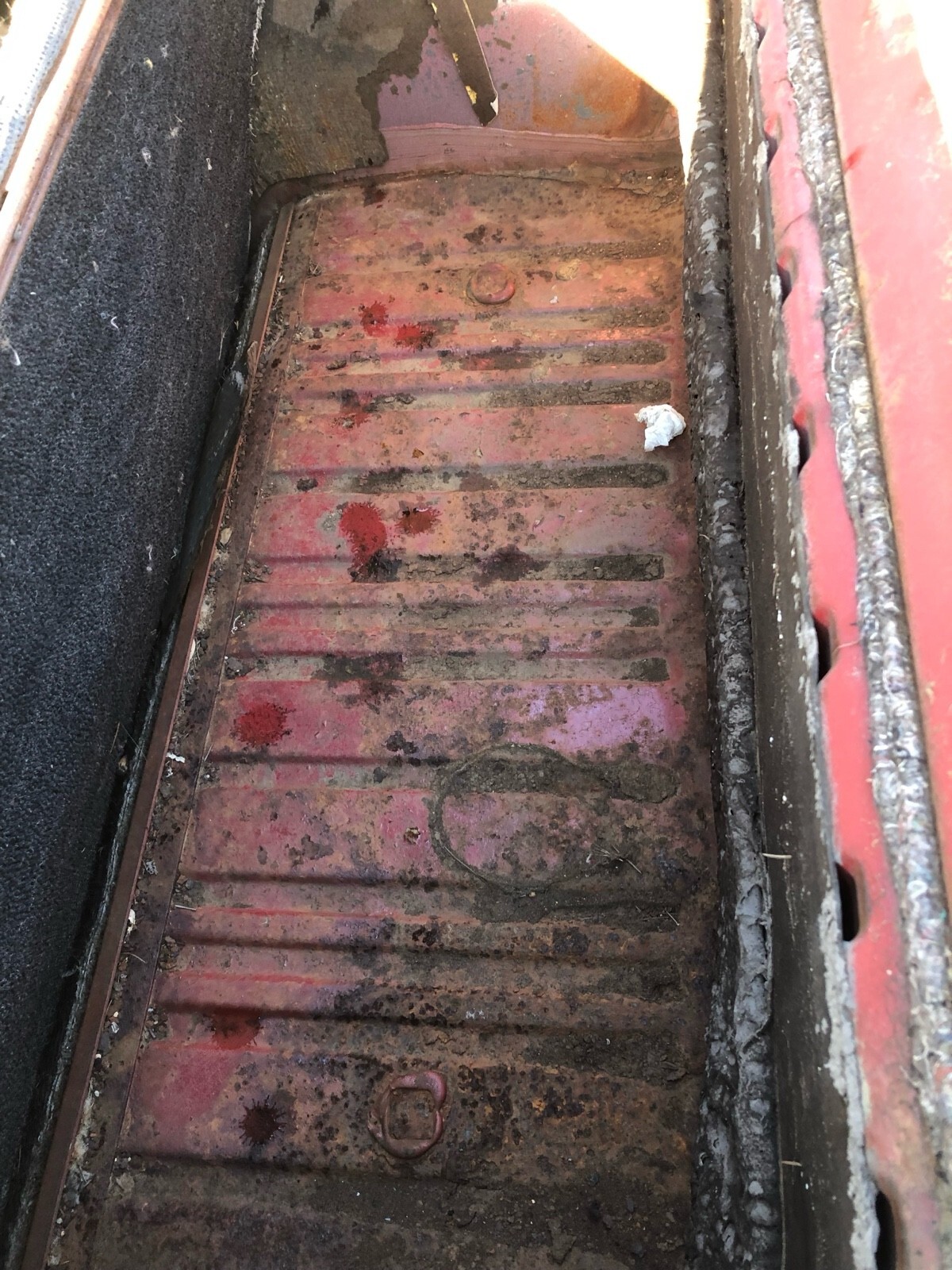 Blue 1968 Volkswagen Beetle