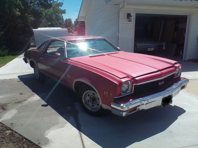 Maroon/silver 1973 Chevrolet Chevelle Coupe with Black interior