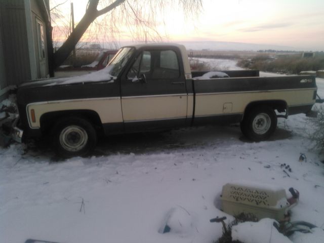 Brown 1979 Chevrolet C/K Pickup 1500 Cab & Chassis with Tan interior