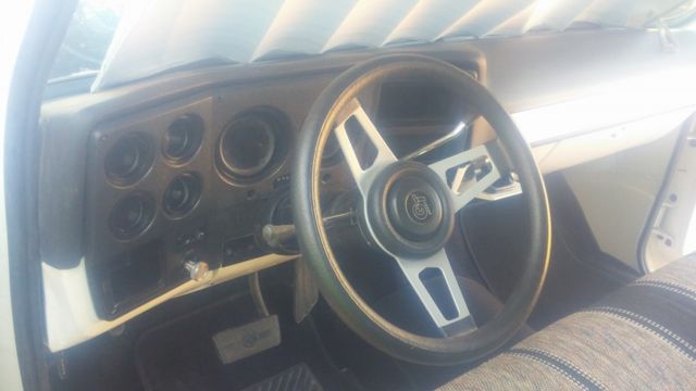 White 1979 Chevrolet C-10 with White interior