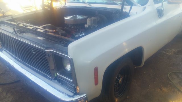 White 1979 Chevrolet C-10 with White interior