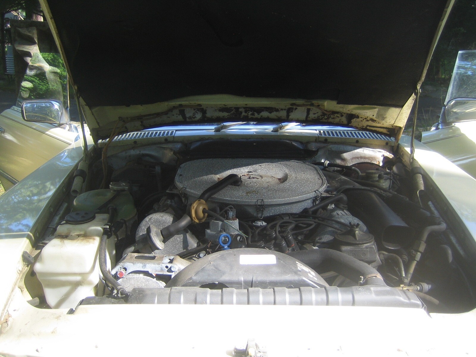 Beige 1980 Mercedes-Benz Other Convertible with Brown interior