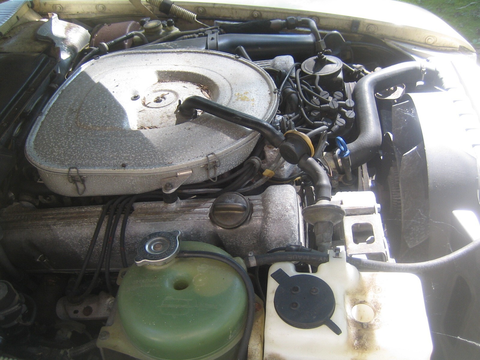 Beige 1980 Mercedes-Benz Other Convertible with Brown interior