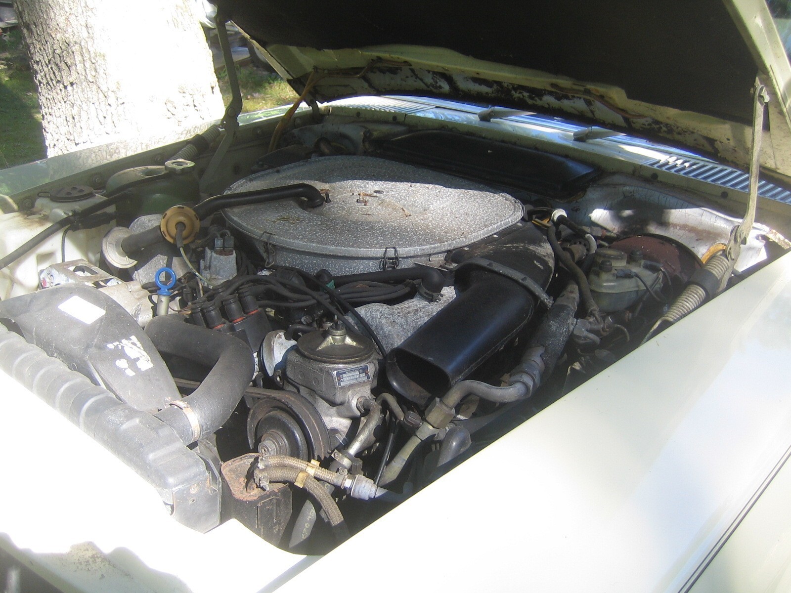 Beige 1980 Mercedes-Benz Other Convertible with Brown interior