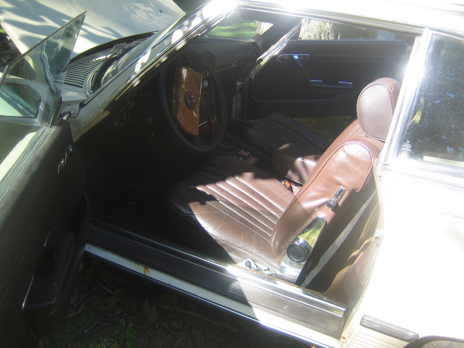 Beige 1980 Mercedes-Benz Other Convertible with Brown interior