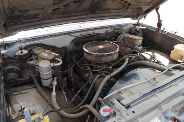 Gray 1981 Chevrolet Other Pickups with Blue interior