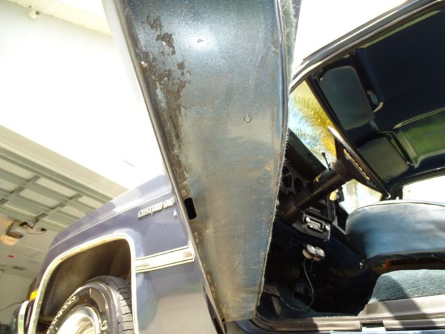 1981 Chevrolet C-10