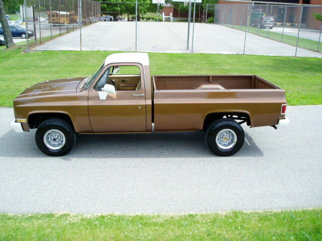 Brown 1981 Chevrolet C/K Pickup 1500 Regular Cab Pickup with Tan interior