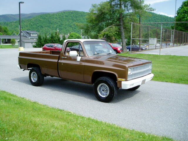 Brown 1981 Chevrolet C/K Pickup 1500 Regular Cab Pickup with Tan interior