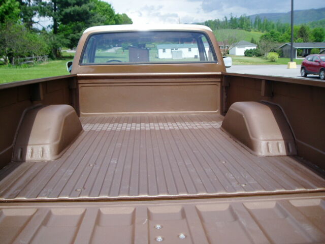 Brown 1981 Chevrolet C/K Pickup 1500 Regular Cab Pickup with Tan interior