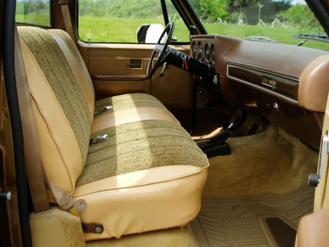 Brown 1981 Chevrolet C/K Pickup 1500 Regular Cab Pickup with Tan interior
