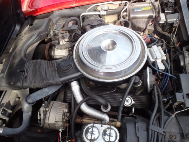 red 1981 Chevrolet Corvette with tan interior