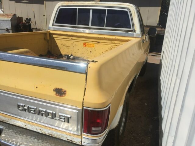 Yellow 1982 Chevrolet C-10 Standard Cab Pickup