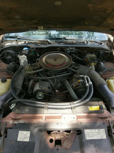 Brown 1984 Chevrolet Camaro Coupe with Brown interior