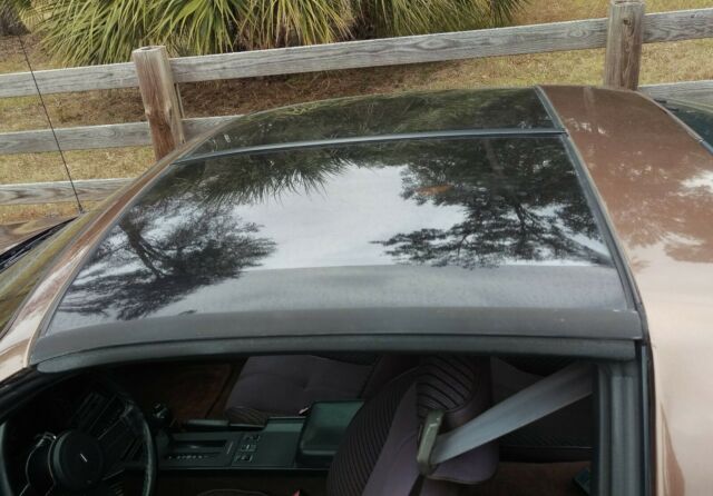 Brown 1984 Chevrolet Camaro Coupe with Brown interior