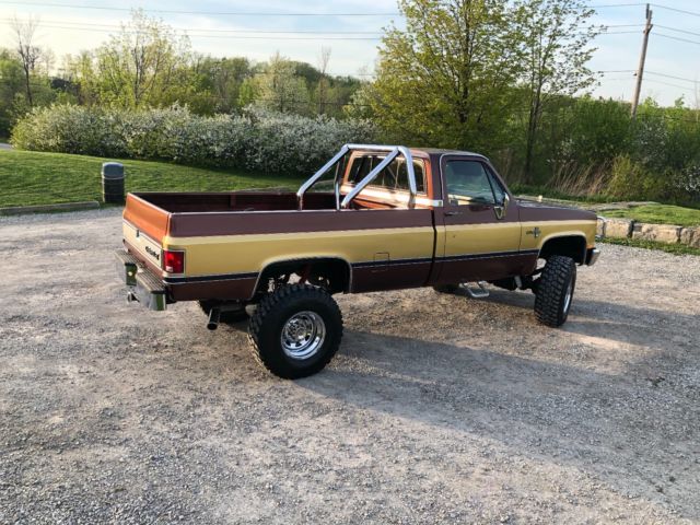Brown/Gold 1985 Chevrolet C/K Pickup 2500 Standard Cab Pickup with Black interior