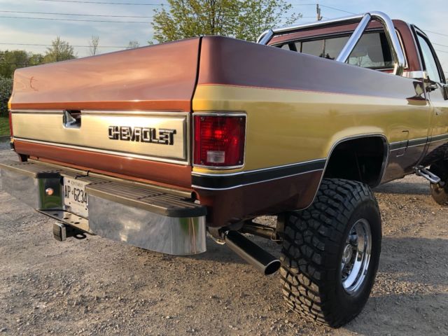 Brown/Gold 1985 Chevrolet C/K Pickup 2500 Standard Cab Pickup with Black interior