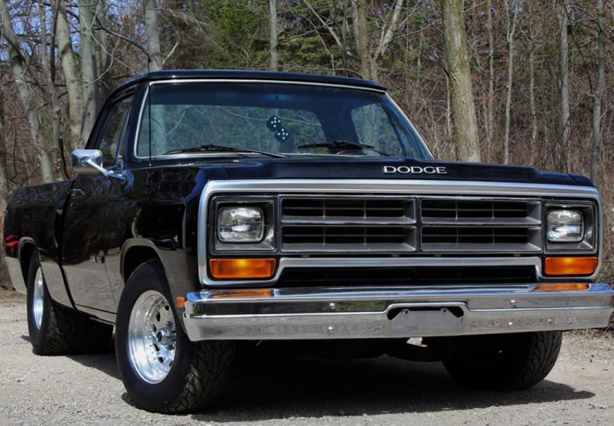 1986 Dodge Truck Shop Manual - D150 D250 D350 W150-W350 Pickup & Ramcharger Service Manual (Reproduction)