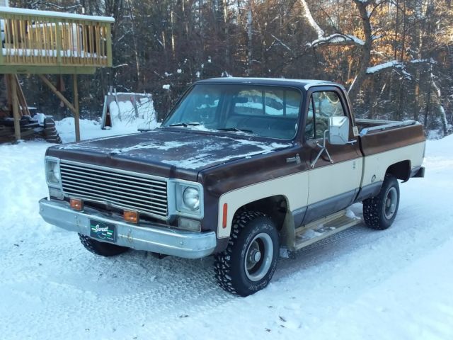 Brown 1977 Chevrolet C/K Pickup 1500 Standard Cab Pickup with Tan interior