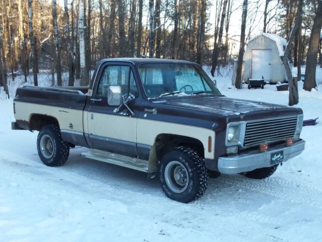 Brown 1977 Chevrolet C/K Pickup 1500 Standard Cab Pickup with Tan interior