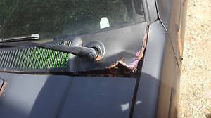 Black 1982 Chevrolet S-10 Standard Cab Pickup with Black interior