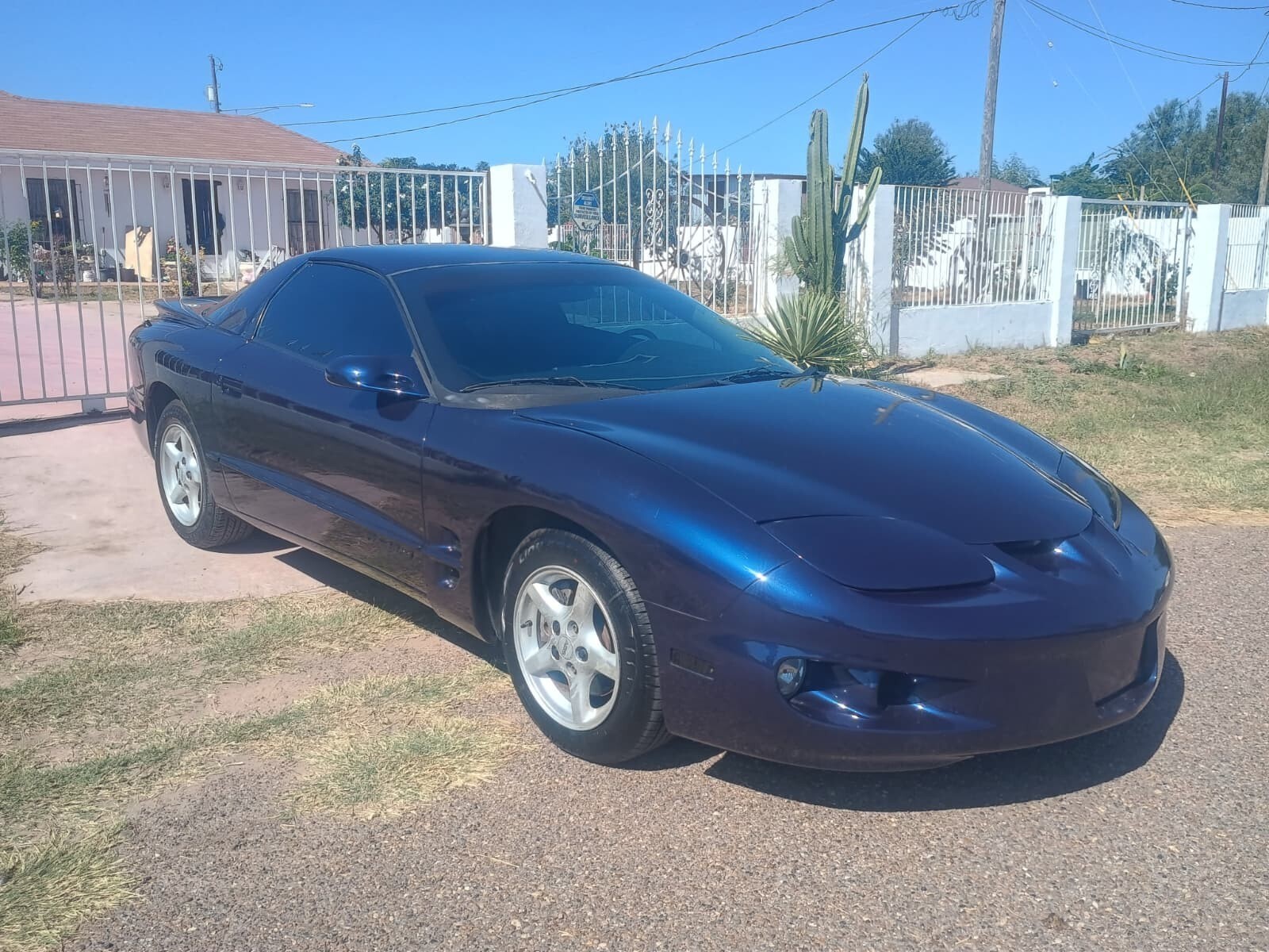 Blue 1924 Pontiac Trans Am with Gray interior