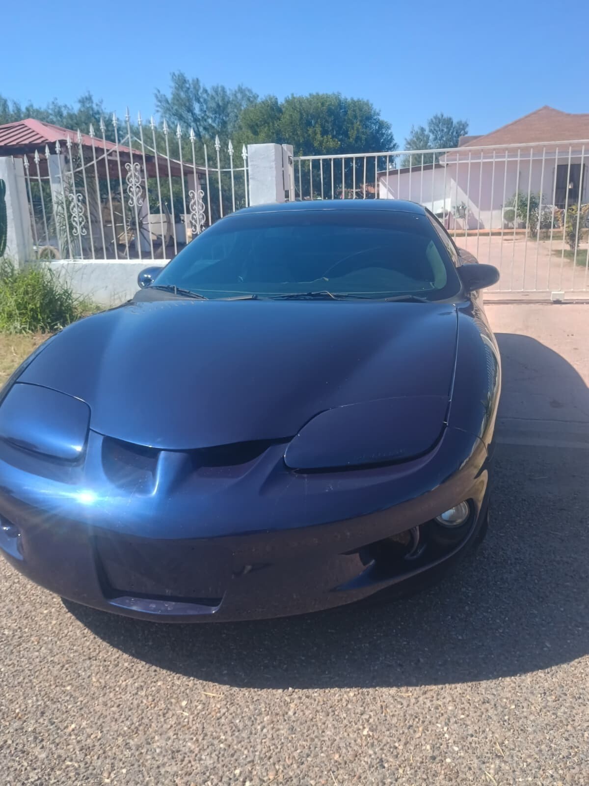 Blue 1924 Pontiac Trans Am with Gray interior