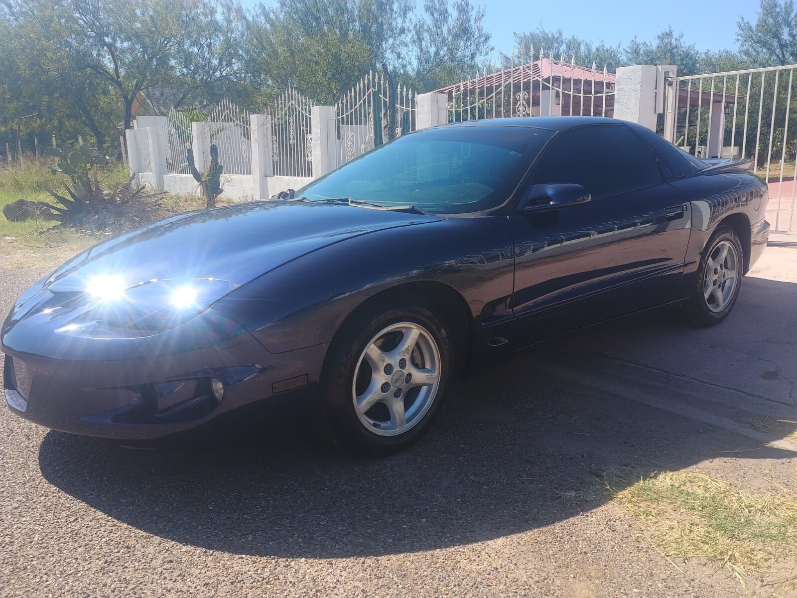 Blue 1924 Pontiac Trans Am with Gray interior