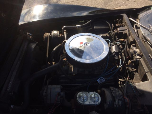 Black 1979 Chevrolet Corvette with Black interior
