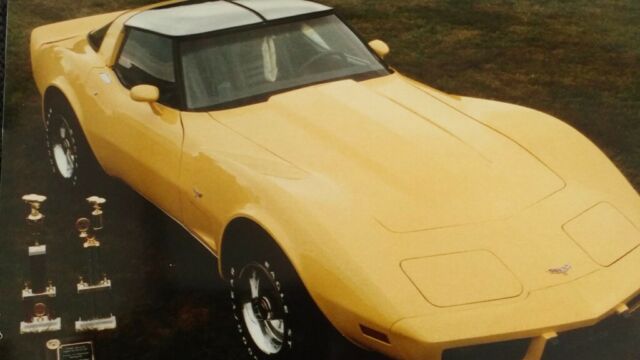 Yellow 1979 Chevrolet Corvette Coupe with Black interior