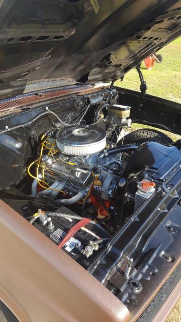 1985 Chevrolet C-10 with Brown interior